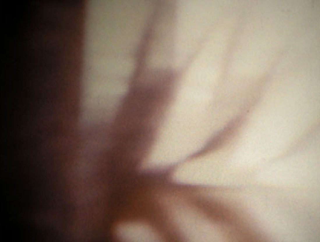 Passage Through: A Ritual