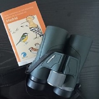 Itinerarios Ornitol&oacute;gicos