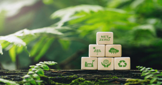 Dados con motivos de sostenibilidad en un escenario natural